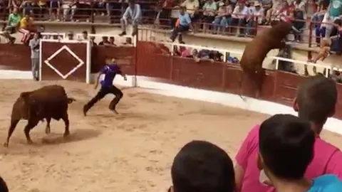  ถึงตาย! ชายใจกล้าวิ่งล่อกระทิง สุดท้ายโดนเสยติดผนัง (ชมคลิป)