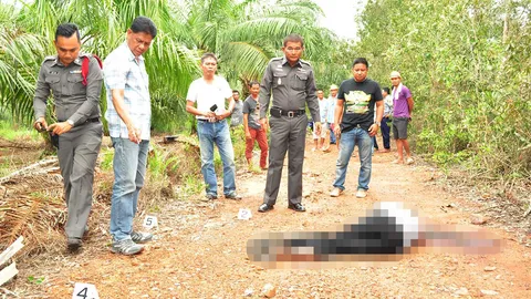 ยิงทิ้งสวนปาล์ม หนุ่มสักยันต์-ห้อยขี้เหล็กไหล ตร.มุ่งปมแค้นส่วนตัว 