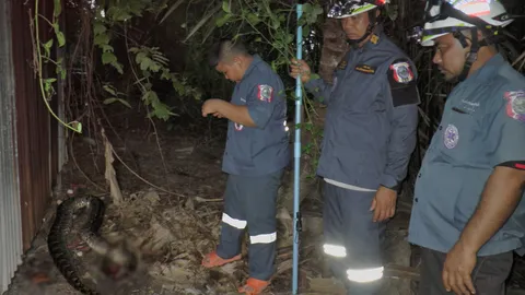 สรุปตายทั้งคู่! งูเหลือมรัดแมว เจ้าของเหมียวฟันงู หวิดขาดท่อน