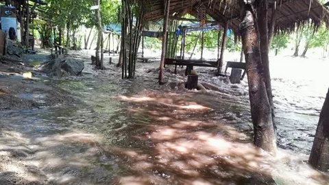 น้ำป่าเชี่ยว! อช.แม่วงก์ สั่งปิด 2 แก่ง วางกระสอบทรายป้องท่วมลาดยาว