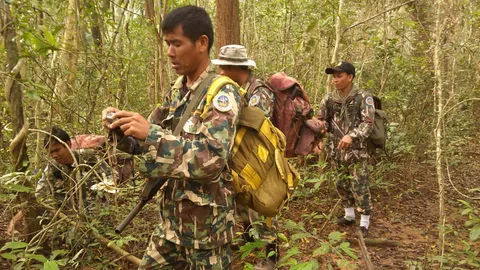 จนท.สนธิกำลัง ตรวจเข้มอุทยานฯปางสีดา ป้องกลุ่มลักลอบตัดไม้พะยูง