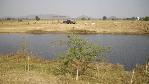 ขุดบ่อแบบไหน ถึงจะสู้แล้งได้ดี