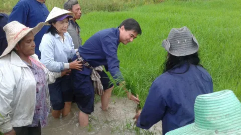 เช็กเรตติ้ง 'มาร์ค' แปลงร่างสวมชุดชาวนาร่วมลงแขกที่เมืองคอน