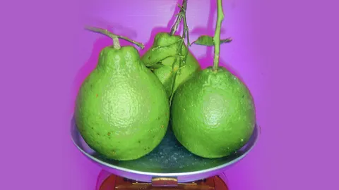 “ส้มจุก” กับที่มาพันธุ์หวานหอม