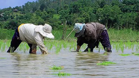 ปฏิรูปคอนแทรคฟาร์มมิ่ง