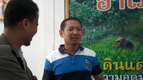 ผวจ.พัทลุง-DSI อายัดที่นายทุนรุกป่าเสม็ด 700 ไร่ ลอบปลูกปาล์มน้ำมัน