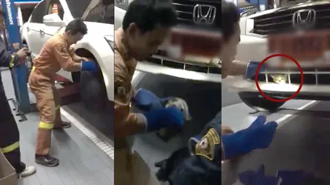 เจ้าของรถป้ายแดงใจเด็ด! ยอมให้งัดรถช่วยชีวิตลูกเเมว