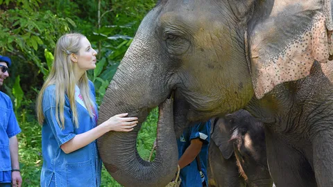 มิสยูนิเวิร์ส นิวซีแลนด์ ถูกใจช้างไทย