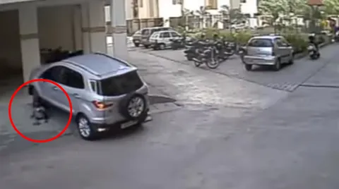 นาทีชีวิต! คลิปหนูน้อย 4 ขวบถูกรถทับ ลุกขึ้นนั่งได้ รอดปาฏิหาริย์