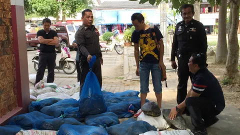 ทิ้งไว้กลางทาง! งูเห่า-เต่าหับ 24 ถุง แก๊งค้าสัตว์ส่งชายแดนกลัวถูกจับ