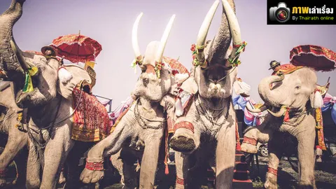 คลื่นความ 'ศรัทธา' ที่ยิ่งใหญ่อลังการ 