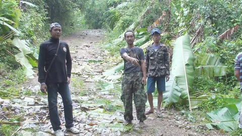 ระทึก! หนุ่มสวนยางพาเมีย-ลูก ไปกรีดยาง เจอโขลงช้างป่า วิ่งหนีตาย