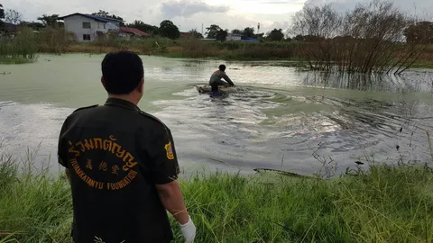 สลด! ย่าจูงหลานพลัดตกบ่อปลา หายข้ามวัน เจอ2ศพลอยในน้ำ 