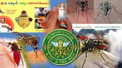 ไข้เลือดออกถึงตาย ไม่เลือกยากดีมีจน