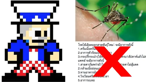 ลือไปเรื่อย! ไข้เลือดออกสายพันธุ์ใหม่ 'จ่าพิชิต’ ยันไม่ใช่เรื่องจริง