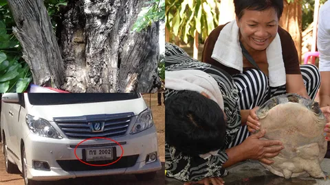 ไม่ได้หนุนให้เล่นหวย!! รวมเรื่องเด็ดทั่วไทย เสี่ยงโชคขำๆ งวด 16 พ.ย. นี้