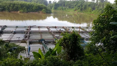 สลด! เจ้าของกระชังปลา ช่วยเพื่อนโดนไฟดูดรอด ถูกช็อตดับแทน