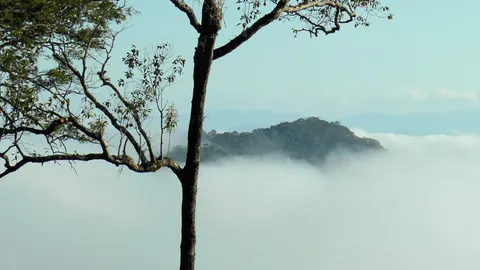 อุทยานฯใหม่ 21แห่ง เพิ่มป่า5ล.ไร่