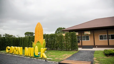 โอ้ลัลลาภูเก็ต!! โอบกอดธรรมชาติ บุก‘ไร่วานิช’ตีซี้ วิถีเกษตรแนวใหม่