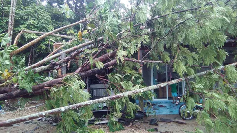 เมืองคอน ส่อ อ่วมอีกรอบ สั่งเฝ้าระวัง 24 ชม.ฝนถล่ม-น้ำป่าหลาก 