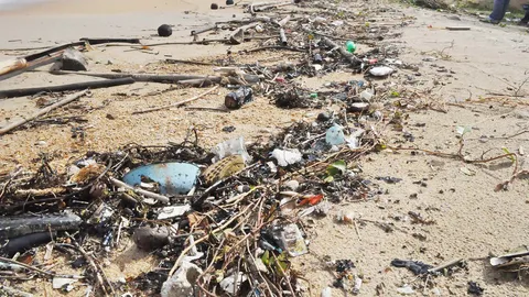 ชุมพร คราบน้ำมันบางน้ำจืด เริ่มคลี่คลาย-บางมะพร้าว ยังอื้อยาว 12 กม.