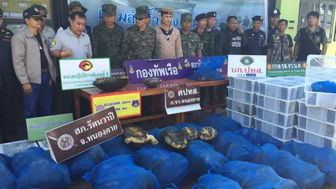 นรข. ยึด เต่า-งู 700 ตัว ซุกกระบะเตรียมส่งนอก ทำเปิบพิสดาร