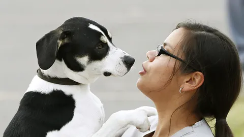 น้องหมาครอง ยอดสัตว์ขบขัน