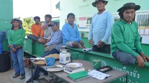 น้ำตาตก! ชาวนาสระแก้วร้อง ผวจ. โรงสีไม่รับซื้อ อ้างข้าว รบ.ได้กำไรกว่า