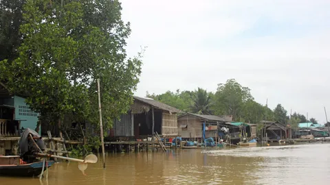 เตรียมตั้ง กก.สอบ ที่ น.ส.3 ป่าชายเลน