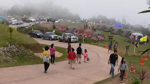 เหนือ-อีสานอากาศเย็นวูบ นักท่องเที่ยวแห่ขึ้นเขาสัมผัสลมหนาว