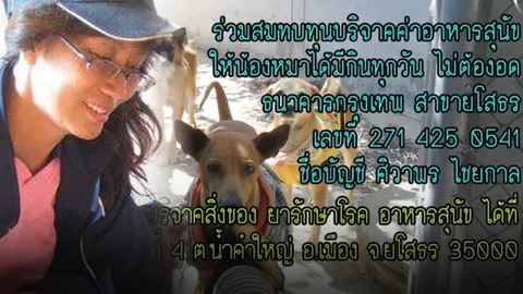 อุทิศชีวิตเพื่อหมา! เปิดใจ ‘ครูแจ๊ด’ วอนผู้ใจบุญช่วยบริจาคอาหารเจ้าสี่ขา