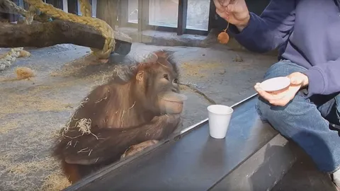 ฮาก๊าก! คลิปปฏิกิริยาเจ้าจ๋อแสนรู้ หลังดูโชว์มายากลเสกของหาย