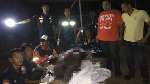 ช้างกรุงเก่าตกมัน! พลายคำหมื่นใช้งาแทงควาญให้อาหารไส้ทะลัก ดับอนาถ