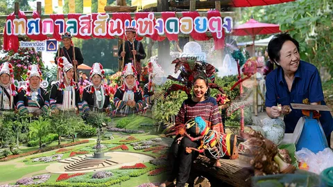 กินลมชมธรรมชาติ สัมผัสความงามดอกไม้หลากสีสัน