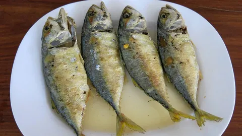 เปิบปลาทูเมนูเด็ด ครัวปลาทูทิดอ้วน