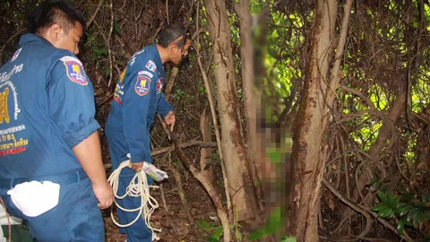 วิ่งป่าราบ! ลุงเก็บของป่าบนภูเขาเมืองชล ผงะศพหนุ่มผูกคอตายใต้ต้นไม้
