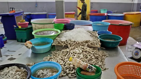 สหรัฐฯจี้เลิกซื้ออาหารทะเลไทย