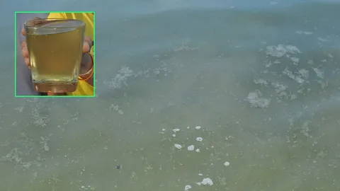 'แพลงก์ตอนบลูม' ทำน้ำทะเลหาดชุมพร เขียว-เหม็น หวั่นปลาตาย