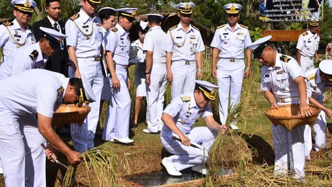 ผบ.ทร.นำบิ๊กทหารน้ำ 'เกี่ยวข้าววันพ่อ' กิจกรรมเฉลิมพระเกียรติ
