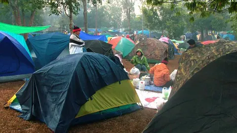 เย็นจับใจ!! 'โคราช' หนาว 14 องศา นักท่องเที่ยวแห่สัมผัสอากาศหนาวคึกคัก