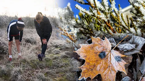 ขาวงามเต็มยอดหญ้า! รวม 7 ที่ชม 'แม่คะนิ้ง' ฟรุ้งฟริ้งศูนย์องศา