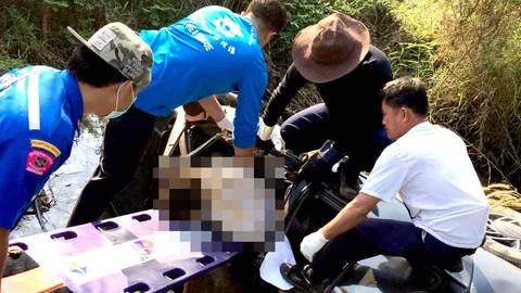 หนุ่ม กฟภ.แพร่ เก๋งเสียหลักตกคูน้ำซุกป่าไมยราบดับคาที่ 