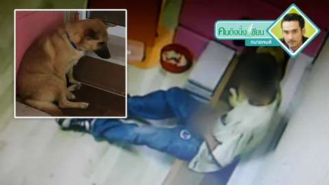 ข่มขืน-ทารุณสัตว์ผิดหนักต้องติดคุก!