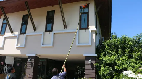 แตนทำรังรอบบ้านนับสิบ เจ้าของผวาถูกต่อย เรียก จนท. ช่วยกำจัด