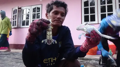 อ่าวไทยคลื่นลมแรง ประมงพื้นบ้านประจวบฯ จับสัตว์ทะเลได้อื้อ