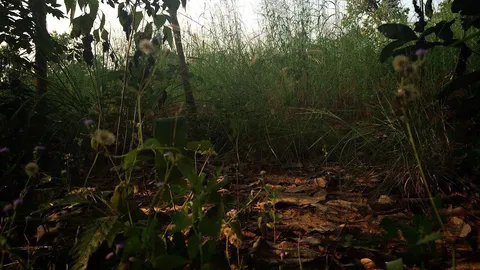 พีมูฟ อุบลฯ ยื่นข้อเรียกร้องรัฐบาลแก้ปัญหาที่ดินทำกิน