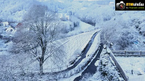 เยอรมนี เธอขาวละลานตา หนาวงามละลายหัวใจ 