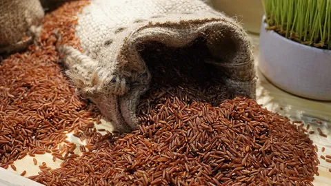 สเต็มเซลล์...ข้าวมันปู จากหลักร้อยสู่หลักหมื่น