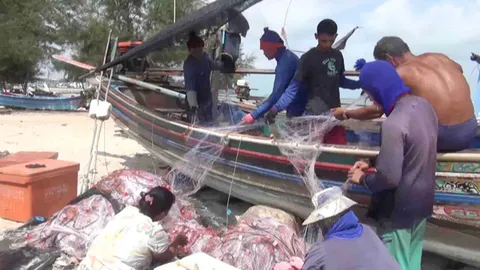 เรือประมงสงขลา โต้คลื่นลมแรง จับกุ้ง-ปลาทู เผยยอมเสี่ยงเพราะภาระเยอะ
