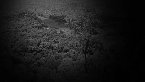 หน.อุทยานฯ ยัน คลิปหนุ่ม-สาวอึ๊บกันในป่า ไม่ใช่น้ำตกห้วยแก้วแน่นอน